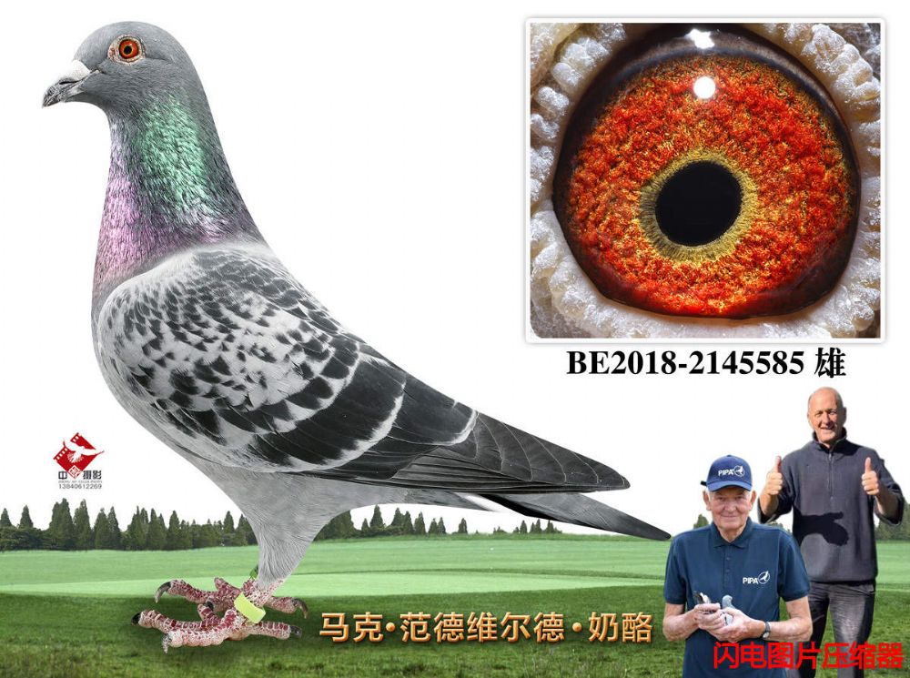 11-BE2018-2145585