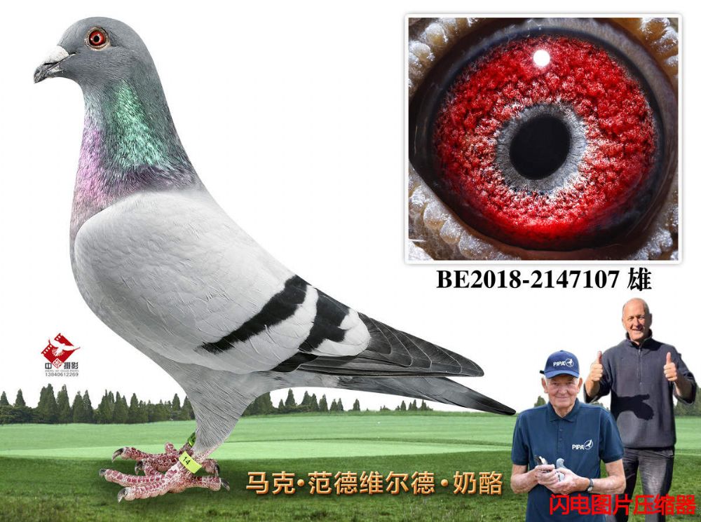 13-BE2018-2147107