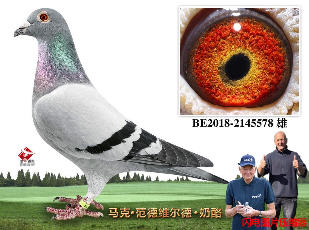 14-BE2018-2145578