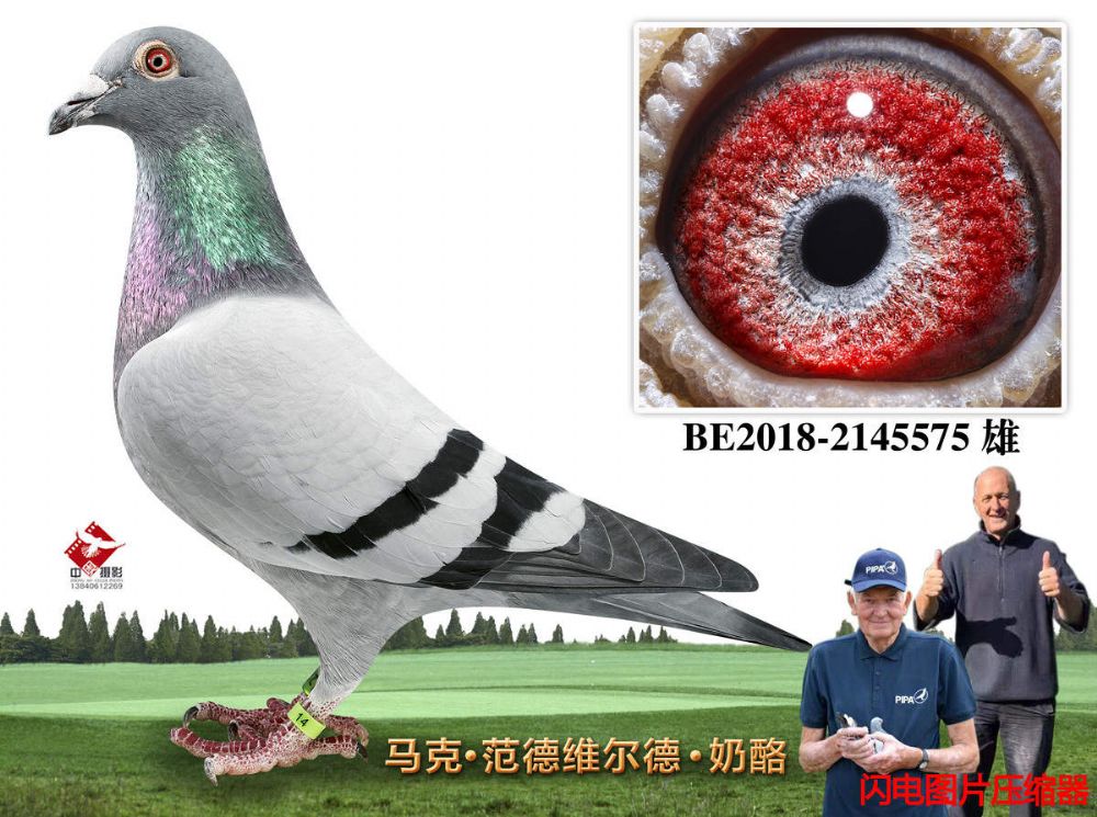 15-BE2018-2145575