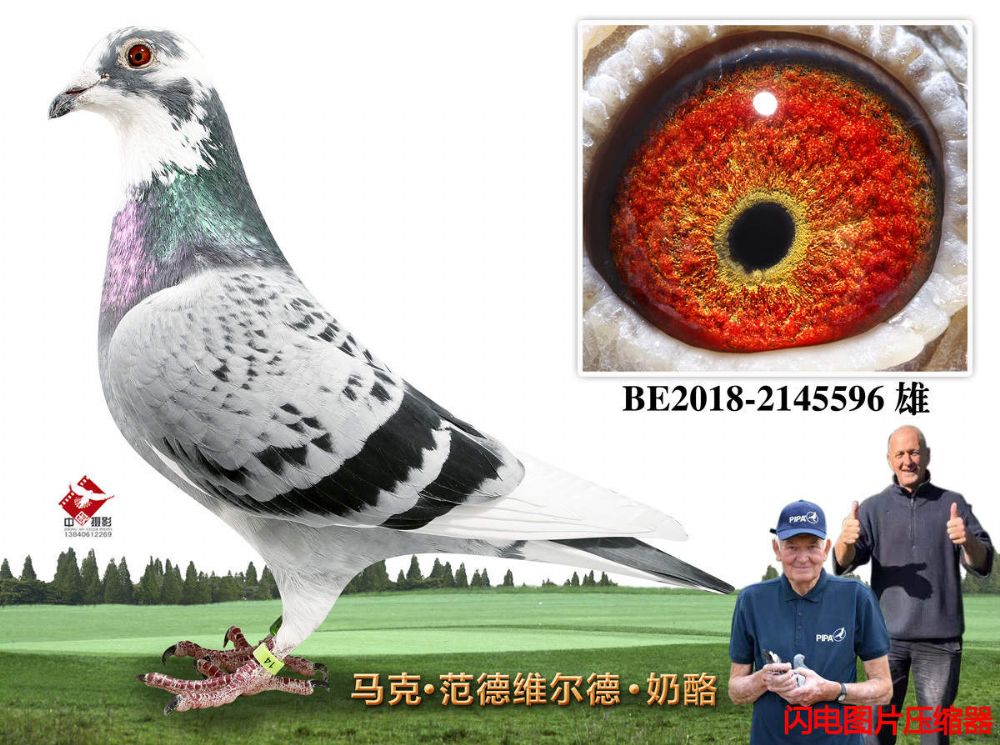 16-BE2018-2145596