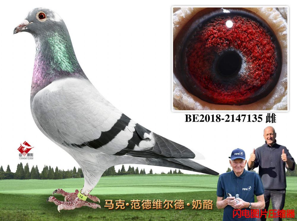 17-BE2018-2147135