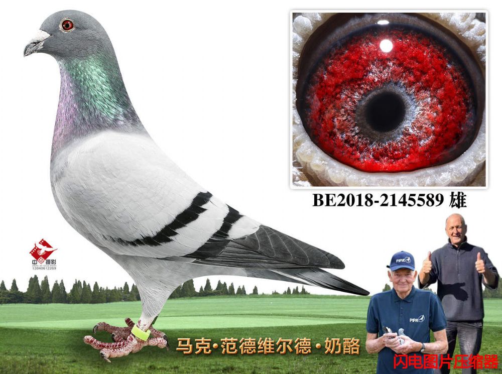 18-BE2018-2145589