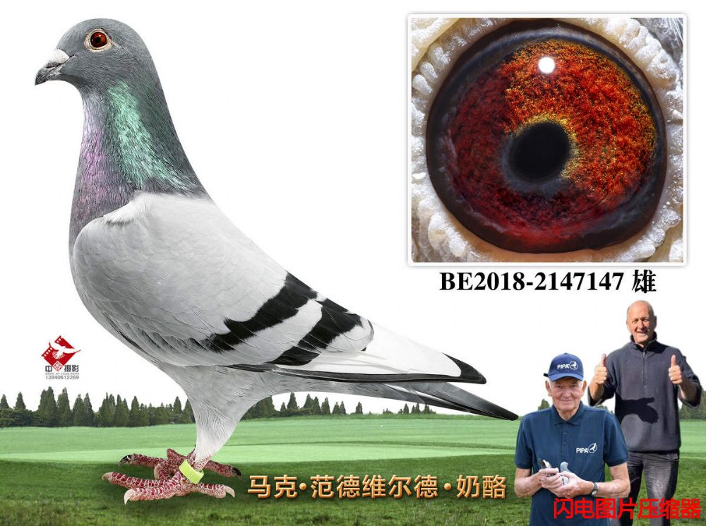 20-BE2018-2147147