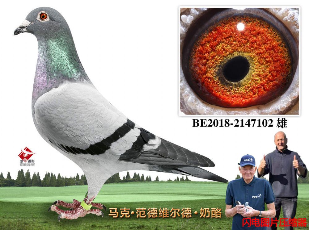 21-BE2018-2147102