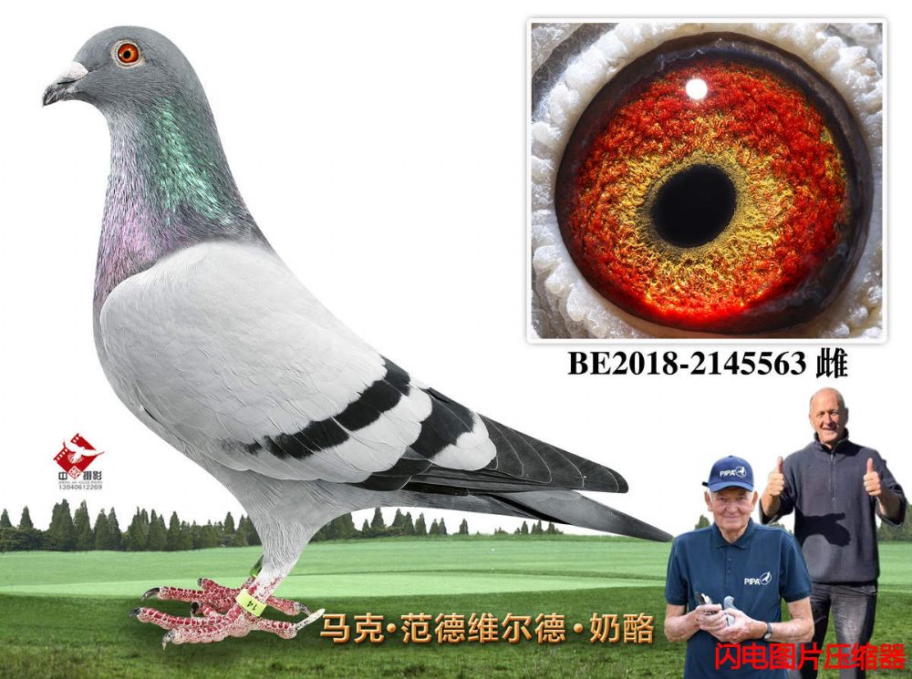22-BE2018-2145563