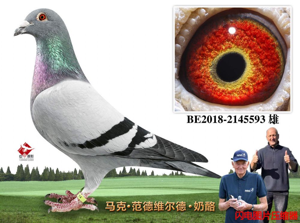 23-BE2018-2145593