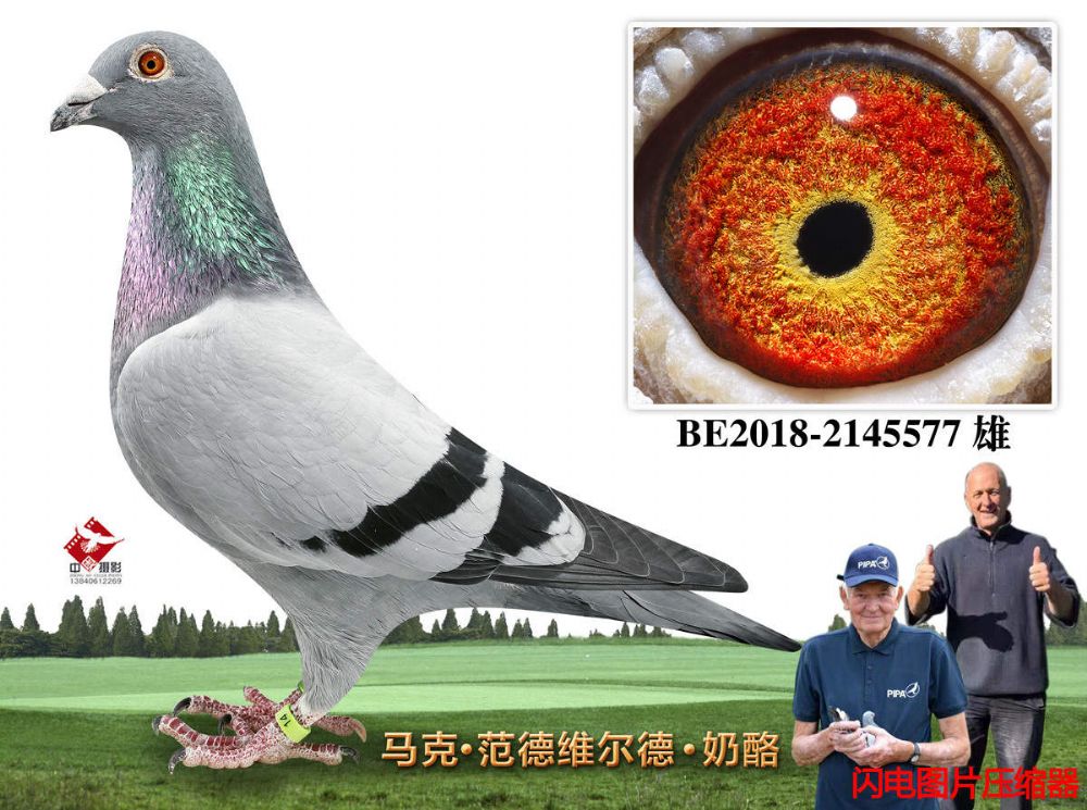 24-BE2018-2145577