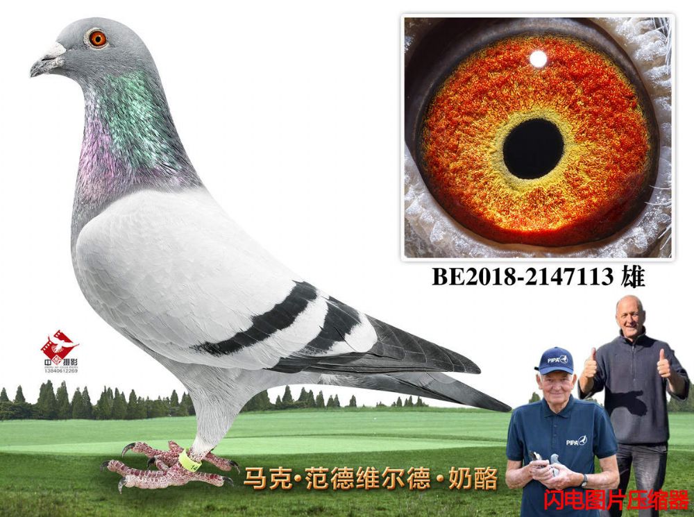 25-BE2018-2147113