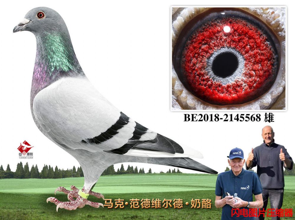26-BE2018-2145568
