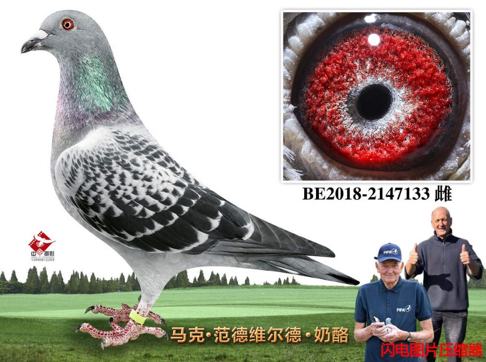 27-BE2018-2147133