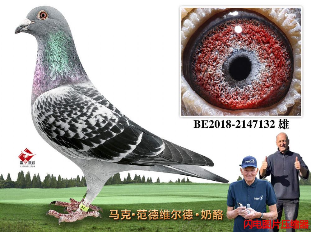 29-BE2018-2147132