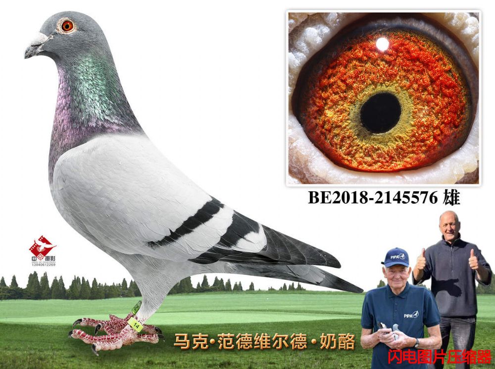 30-BE2018-2145576