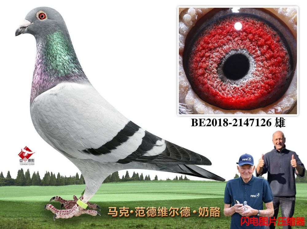 31-BE2018-2147126