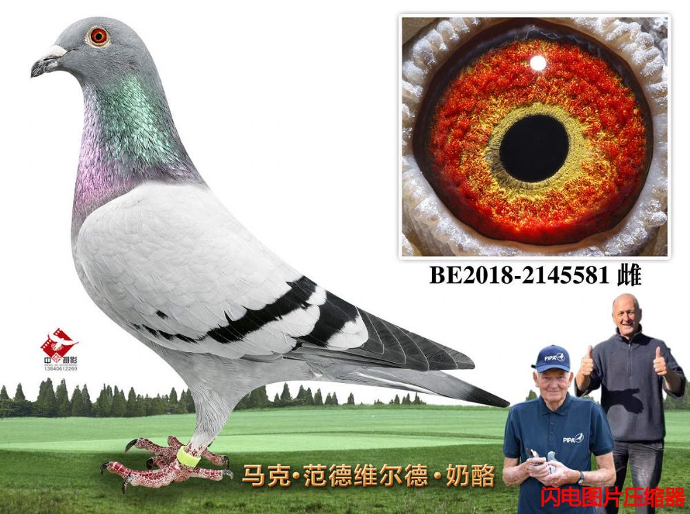 32-BE2018-2145581