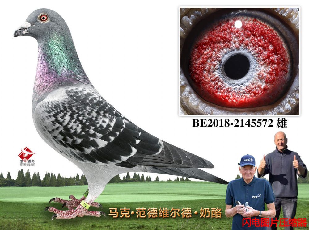 33-BE2018-2145572