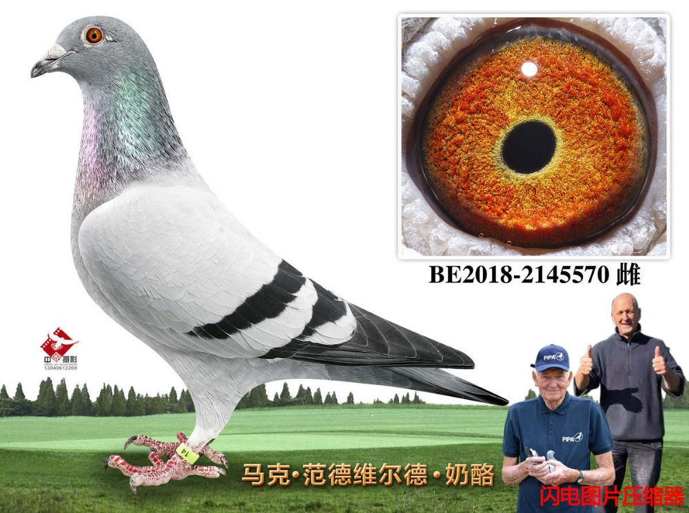 34-BE2018-2145570