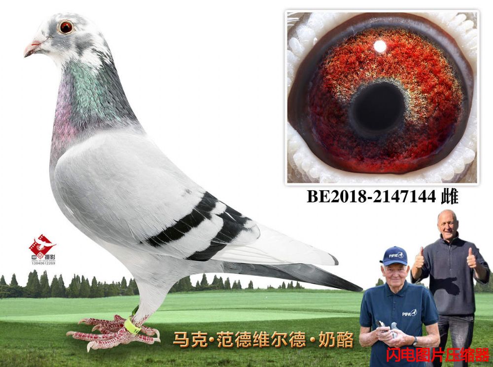 35-BE2018-2147144