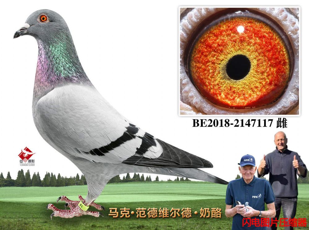 36-BE2018-2147117