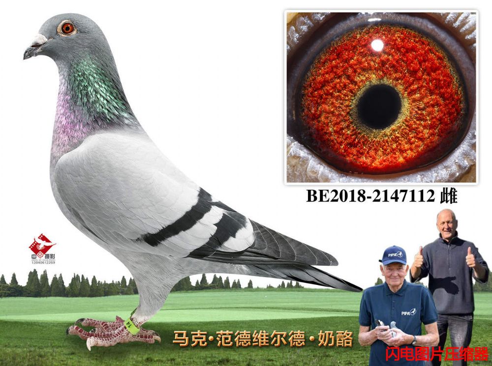37-BE2018-2147112
