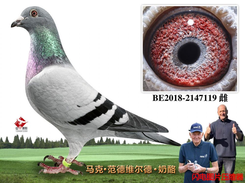 38-BE2018-2147119
