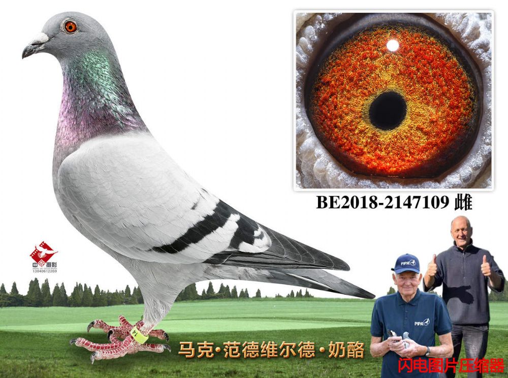 39-BE2018-2147109