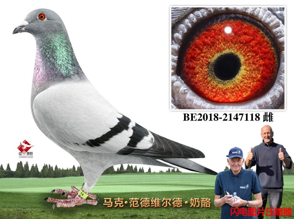 40-BE2018-2147118
