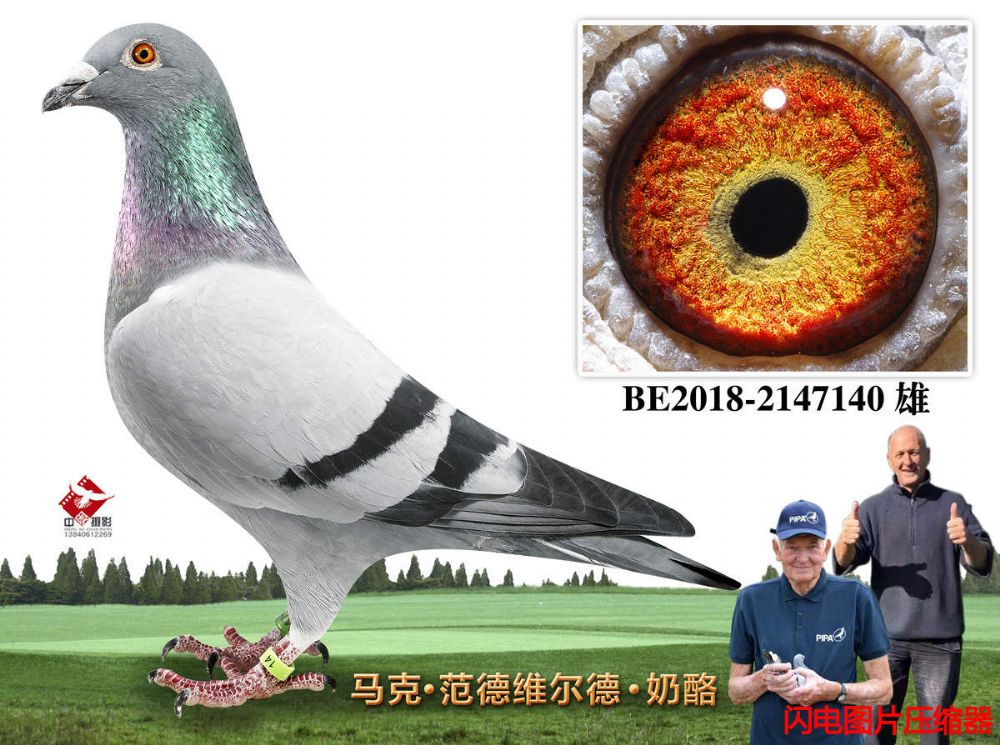 41-BE2018-2147140