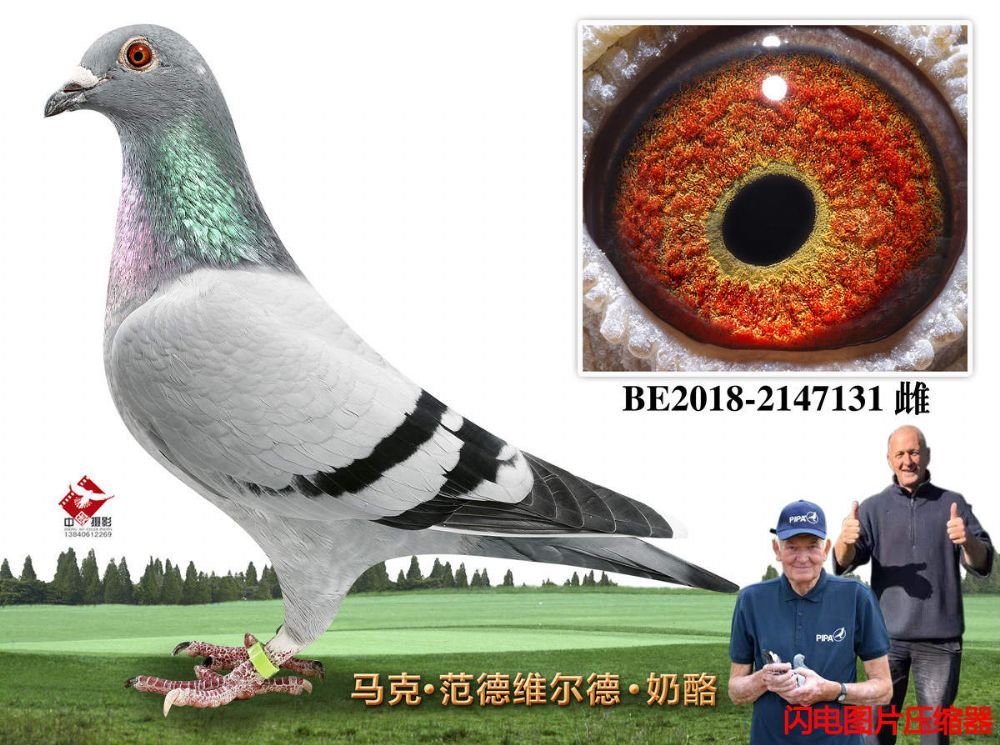 42-BE2018-2147131