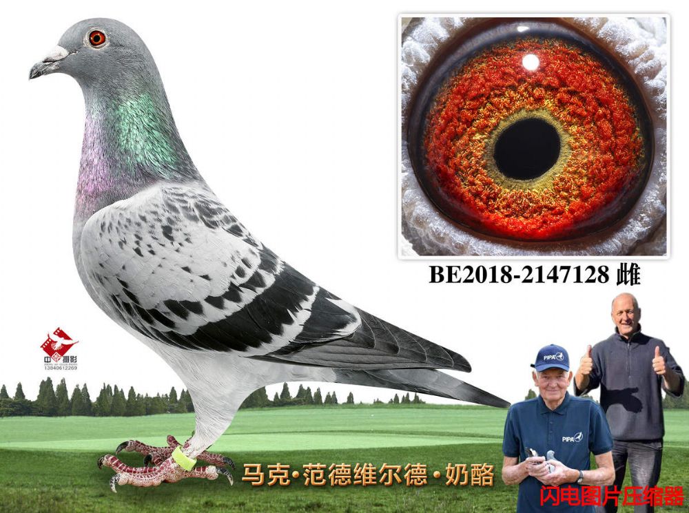 43-BE2018-2147128