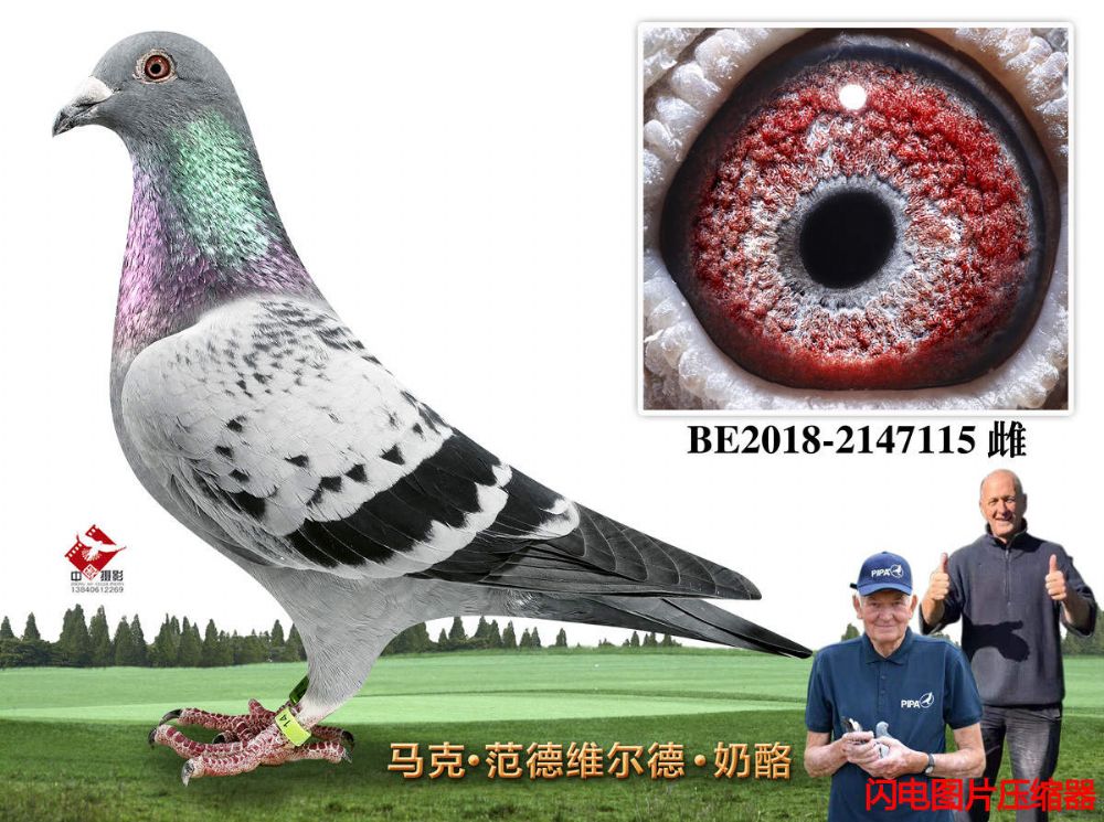 44-BE2018-2147115