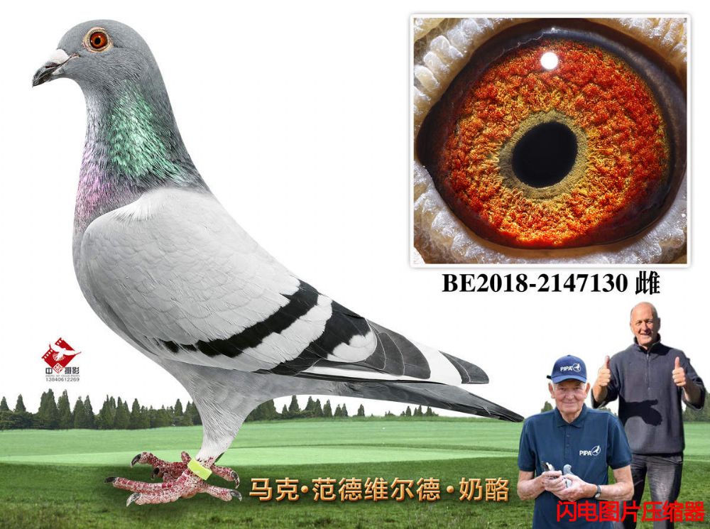 45-BE2018-2147130