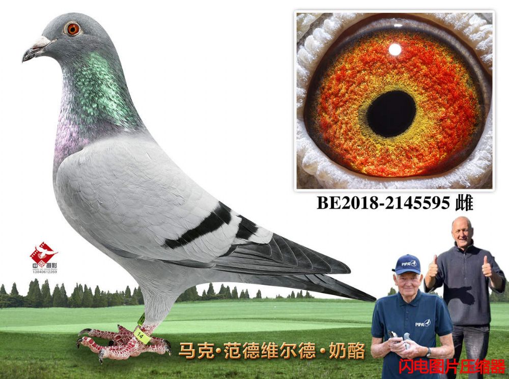 46-BE2018-2145595