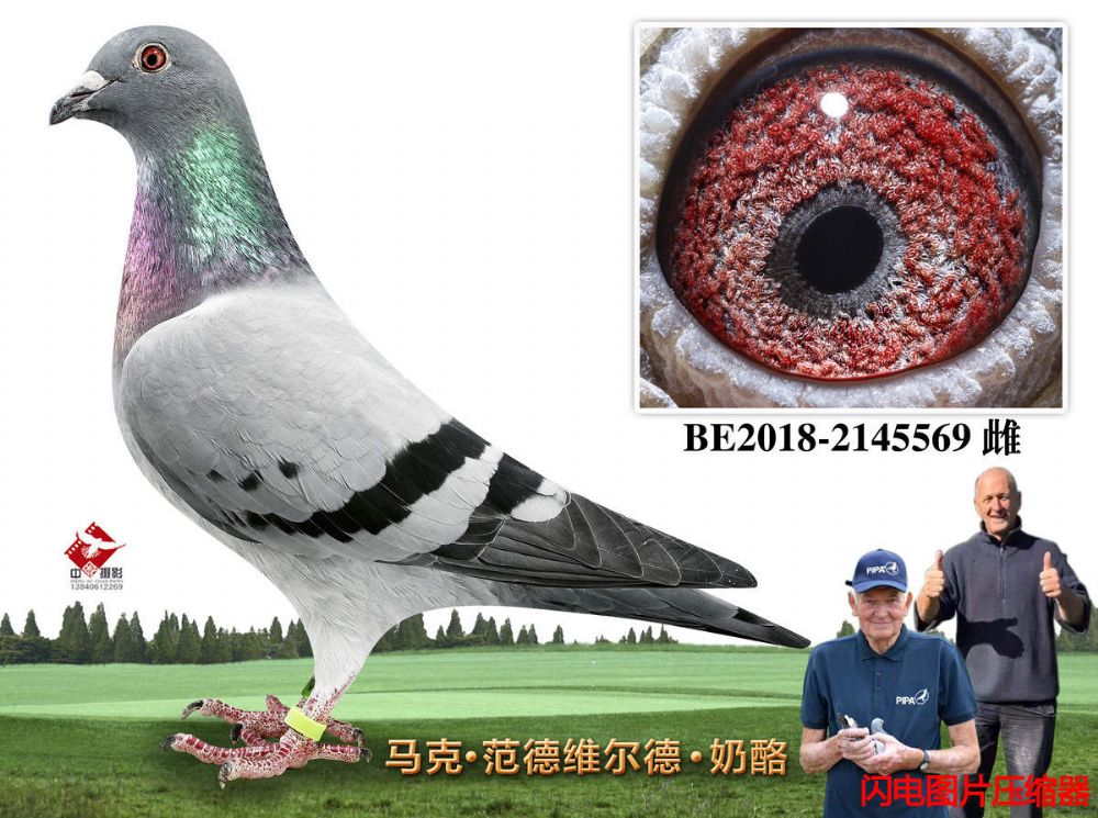 47-BE2018-2145569