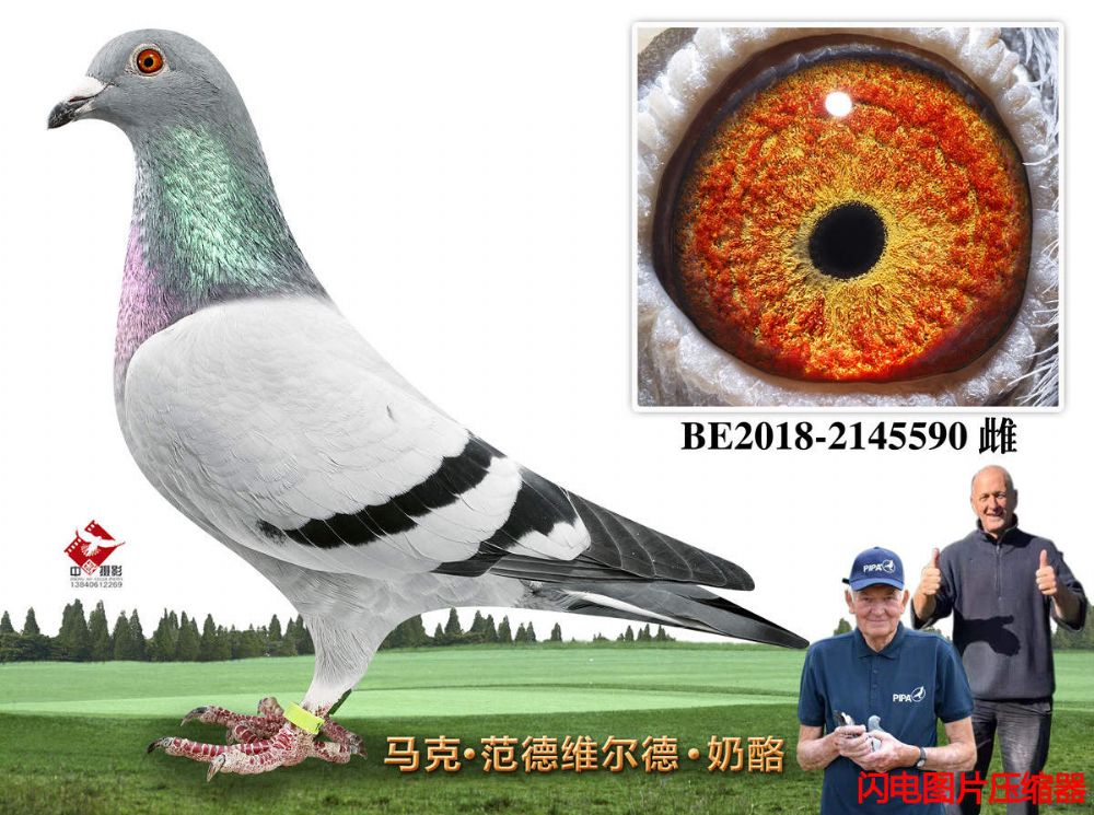 48-BE2018-2145590