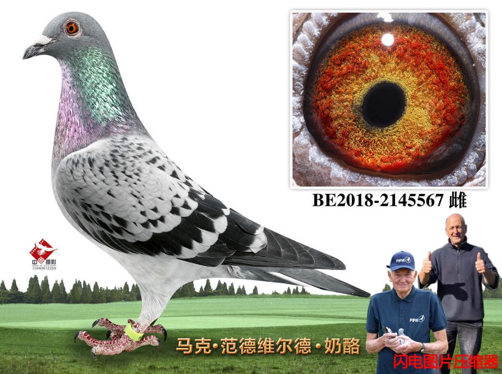 49-BE2018-2145567