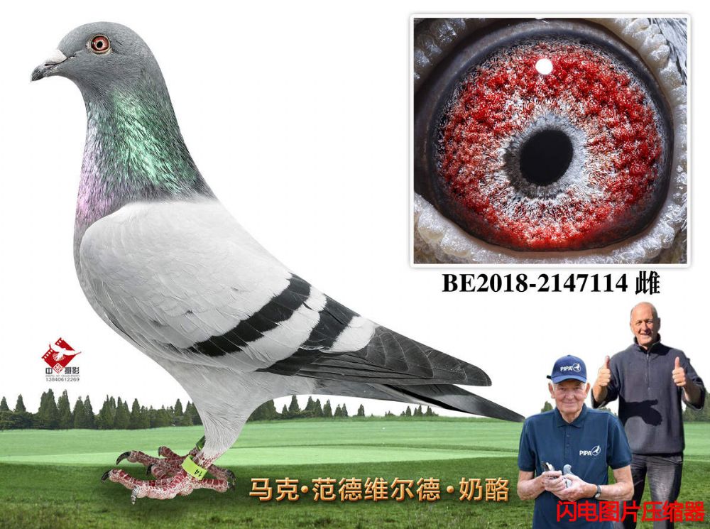 50-BE2018-2147114