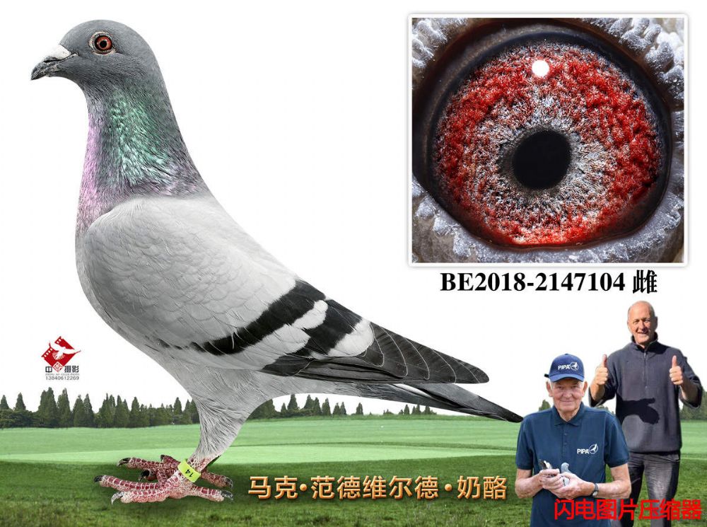 51-BE2018-2147104
