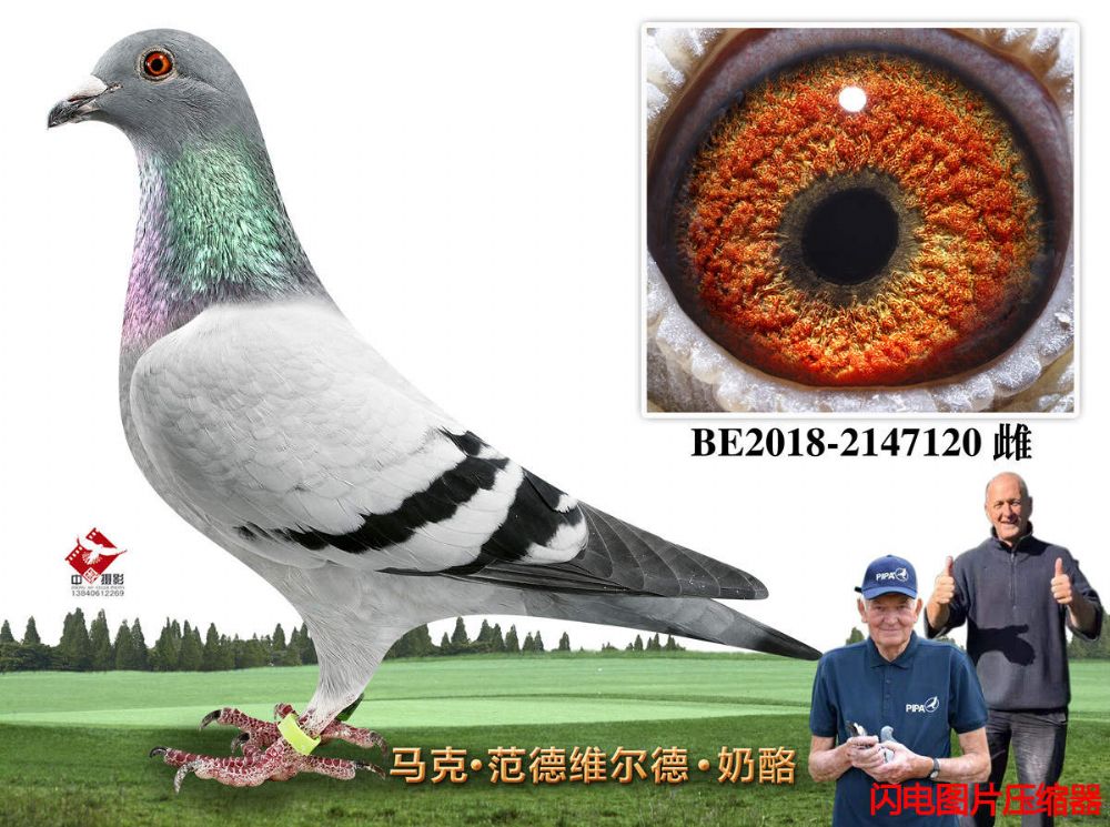52-BE2018-2147120