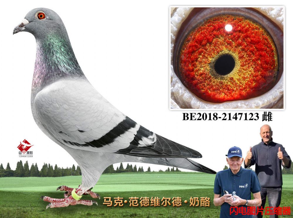53-BE2018-2147123