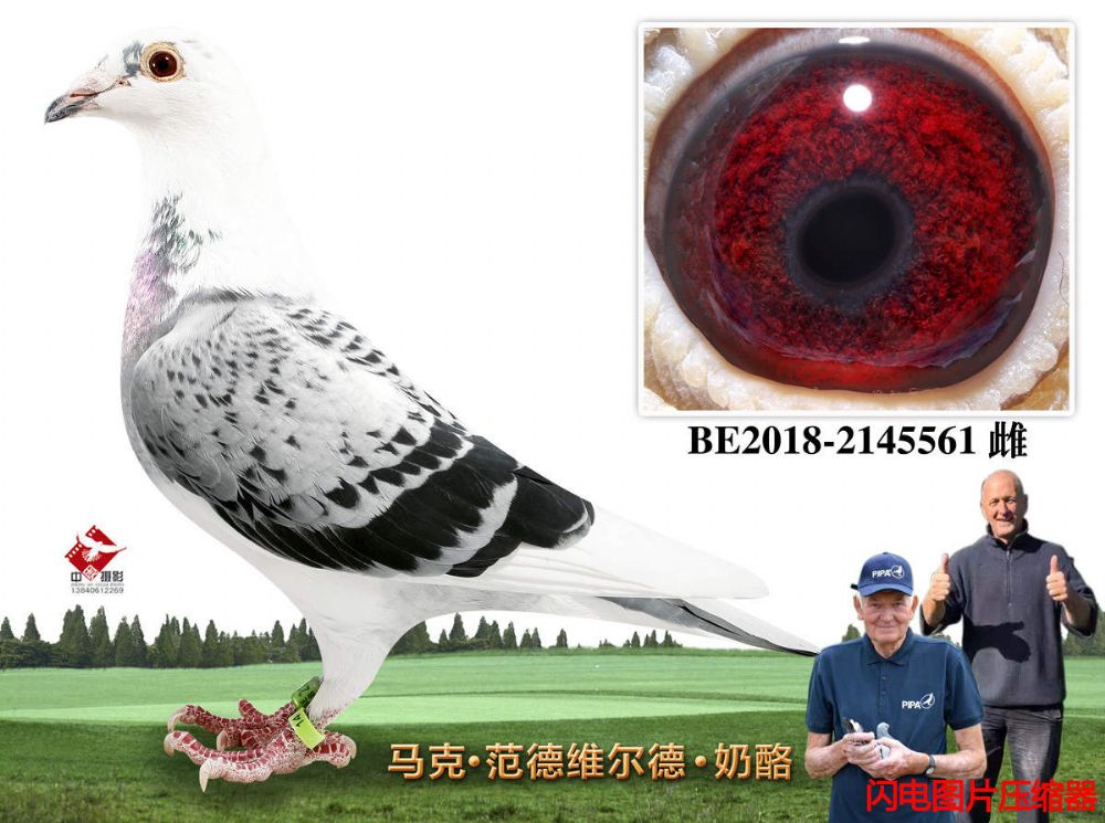 54-BE2018-2145561
