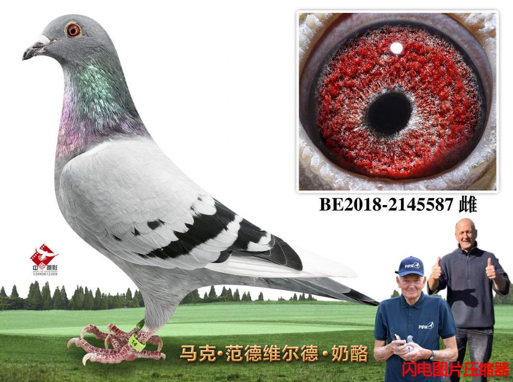 55-BE2018-2145587