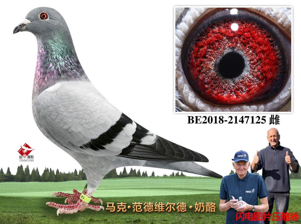 56-BE2018-2147125