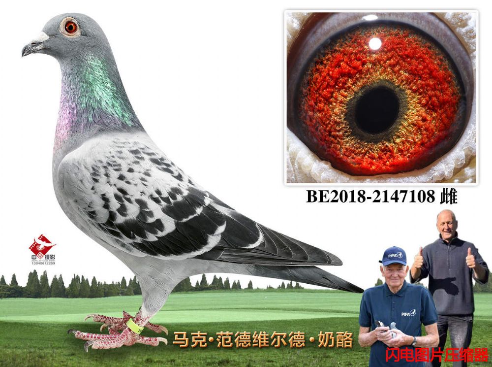57-BE2018-2147108
