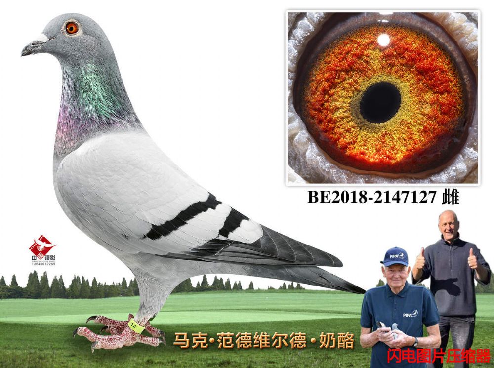 59-BE2018-2147127