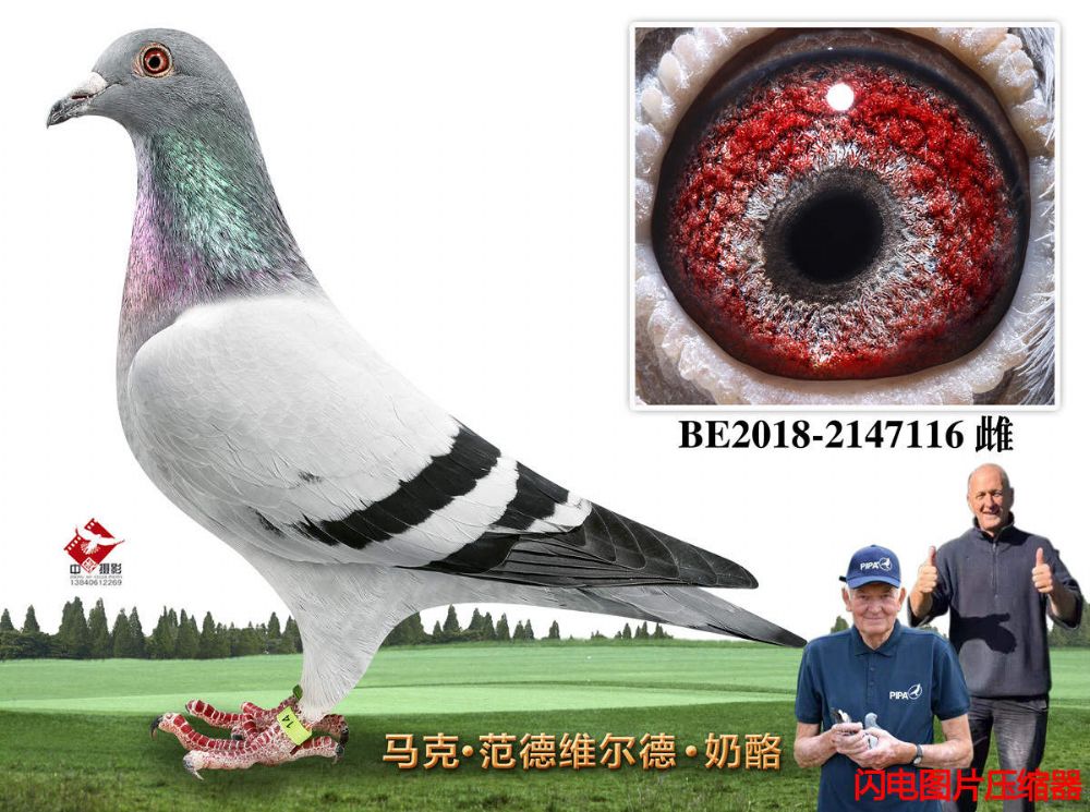 60-BE2018-2147116