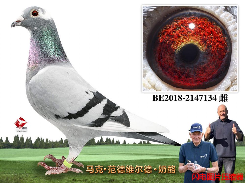 61-BE2018-2147134