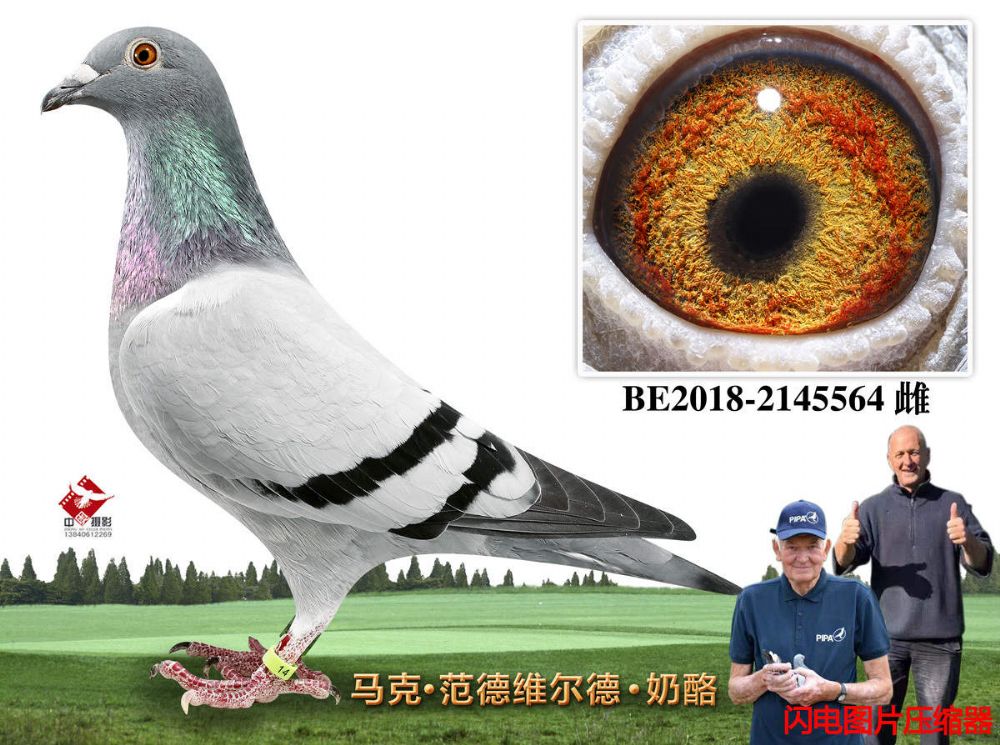 62-BE2018-2145564