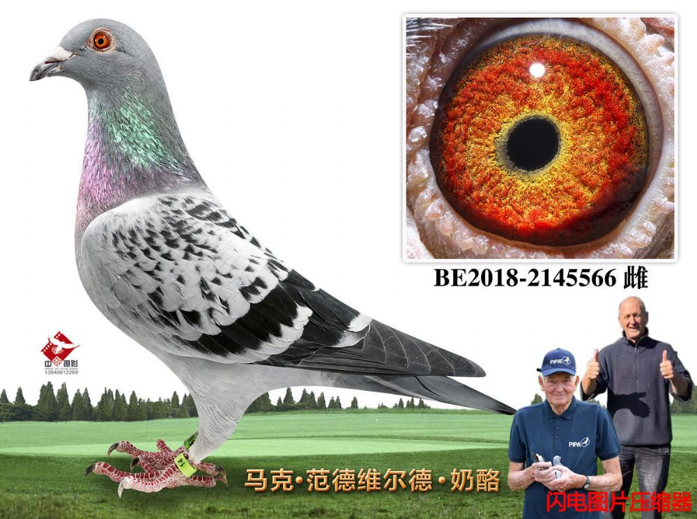 63-BE2018-2145566