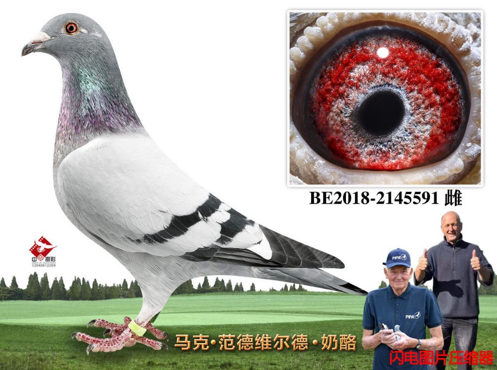 64-BE2018-2145591